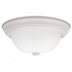 2-LAMP 11IN 60W CEILING
FIXTURE
MATTE WHITE