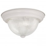 11&quot; 2 LAMP CEILING MNT/WH
CLEAR GLASS